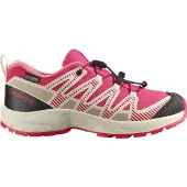 Salomon Sapatos De Caminhada Xa Pro V8 Wp