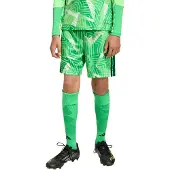 Adidas Calções Tiro26 Competition Goalkeeper