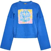 Ebeeza Sweatshirt azul cobalto / amarelo / rosa