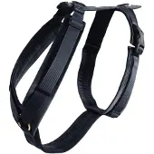 Kentucky Arnês Para Cães Active Velvet