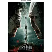 SD Toys Harry Potter Voldemort Vs Harry Quebra-cabeça 1000 Peças