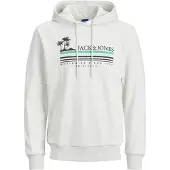 Jack & Jones Sweatshirt 'JORCodyy' azul claro / verde / preto / esbranquiçado