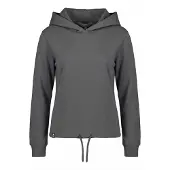 Alife & Kickin Sweatshirt 'MalinAK A' cinzento escuro