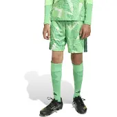 Adidas CALÇÕES DE GUARDA-REDES TIRO26 COMPETITION PARA CRIANÇAS