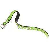 Ferplast Coleira De Cachorro Dual 20 Mm 43 Cm