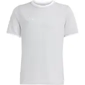 Adidas Camisa funcionais 'Entrada26' pedra / branco