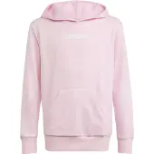 Adidas Moletom Com Capuz Essentials