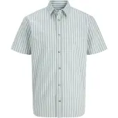 Jack & Jones Camisa De Manga Curta Chad Oxford Stripe