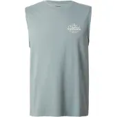 Levi's Camisa cinzento basalto / branco