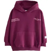 Next Sweatshirt rosa claro / vermelho vinho