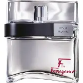 Salvatore Ferragamo perfume F By Ferragomo Pour Homme EDT 100 ml