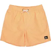 Quiksilver Calção De Banho Everyday Deluxe Volley 14´´