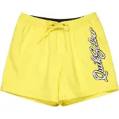 Quiksilver Calção De Banho Everyday Malibu Volley 15´´