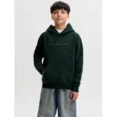 Jack & Jones Kids Junior Sweatshirt 'JJEStar' abe / branco