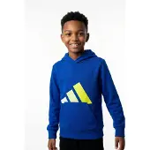 Adidas Moletom Com Capuz Essentials