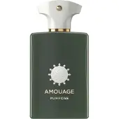 Amouage Purpose EDP U 100 ml