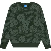 Ocean pacific Sweatshirt 'Wonthaggi' jade / verde pastel
