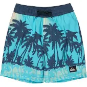 Quiksilver Calção De Banho Everyday Printed Volley 13´´