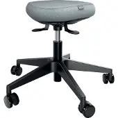 Leitz Banco Ajustável Active Wheel