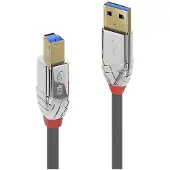 Lindy Cabo Usb-b 3.2 3 M