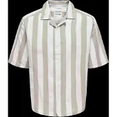 Only & Sons Camisa 'Tes' castanho
