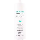 Be hair Be Mineral Plump champô 1000ml