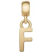 Daniel Wellington Lettera F DW00400489 — Ciondolo Placcato Oro