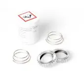 Dt Swiss Kit De Serviço Star Ratchet Sl36