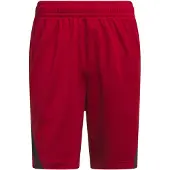 Adidas Calções de Basquetebol 3-Stripes Legends