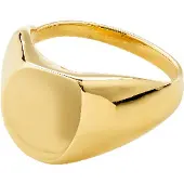 Pilgrim Anel 'Presence' ouro