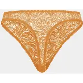 Erlich Textil Tanga 'Iconic Lace' alperce