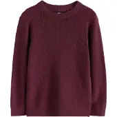 Next Pullover borgonha