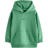 Next Sweatshirt verde