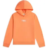 O'Neill Sweatshirt alperce