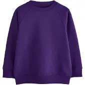 Next Sweatshirt roxo escuro