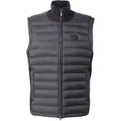 Colmar Colete preto