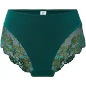 Lingadore Cueca verde escuro