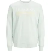 Jack & Jones Sweatshirt 'JORPalma' amarelo claro / verde pastel / branco