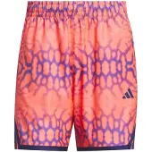 Adidas CALÇÕES CRAZYLITE GRAPHIC
