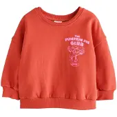 Next Sweatshirt lagosta / cor-de-rosa