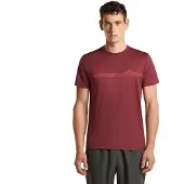 Icebreaker Camiseta De Manga Curta 150 Tech Lite Range Stripes