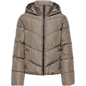 ONLY Casaco de inverno 'ONLCLAIR' castanho