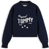 Tommy Hilfiger Pullover navy / branco