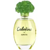 Perfumes De Nicho & Outros Brioni perfume Brioni Eau de Parfum EDP 150 ml