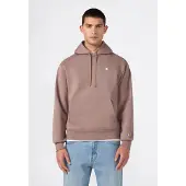 Champion Sweatshirt taupe