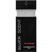 Jacques Bogart perfume Silver Scent Intense EDT 200 ml