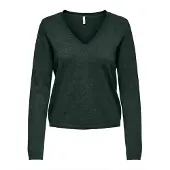 ONLY Pullover 'ONLLOYAL' abe