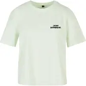 Urban Classics Camisa 'Think Everyday' verde pastel