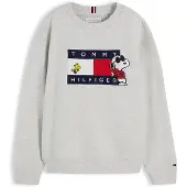 Tommy Hilfiger Sweatshirt 'Peanuts' navy / cinzento claro / vermelho / branco