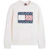 Tommy Hilfiger Sweatshirt 'NOVELTY' navy / vermelho / branco